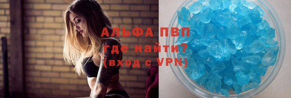 гидра Аркадак