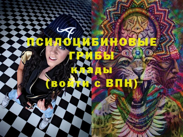 прущий лед Абаза