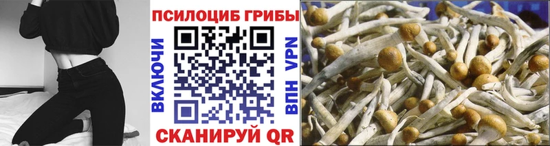 где найти   Сочи  MEGA ссылка  Галлюциногенные грибы ЛСД 